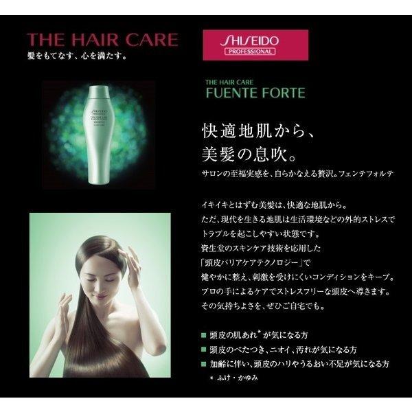 SHISEIDO 資生堂プロフェッショナル フェンテフォルテ SHISEIDO 資生堂プロフェッショナル フェンテフォルテ
