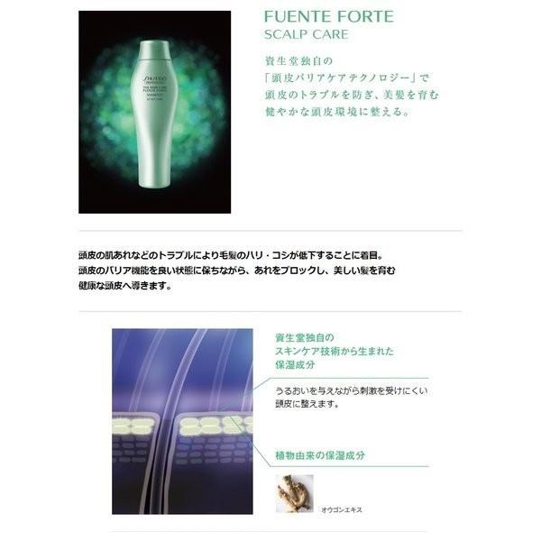 資生堂プロフェッショナル フェンテフォルテ シャンプー 1000ml【全商品Yahoo最安値に挑戦】|beautycosme|03
