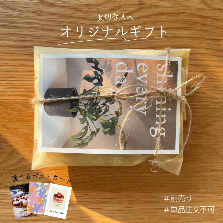 フェムケア ech エチュ デリケートケアシート 3枚セット 保湿 乾燥ケア