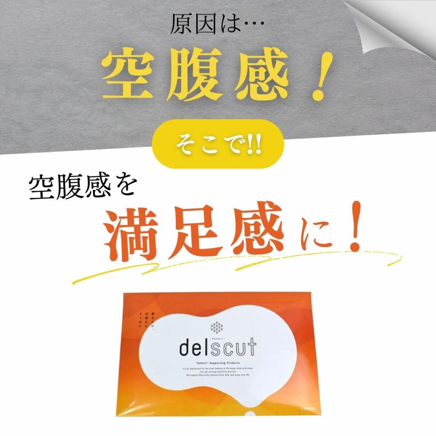 クーポン】 ダイエット カルニチン デルスカット delscut 3個セット  