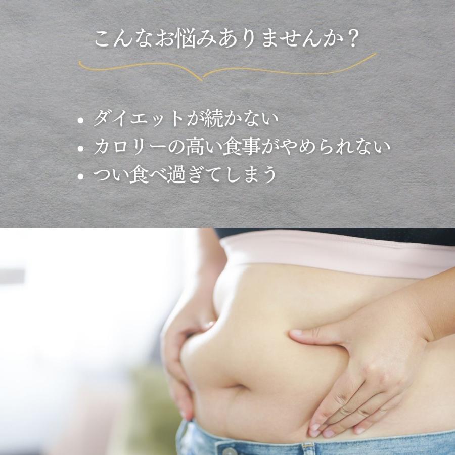 ダイエット カルニチン  デルスカット delscut カルニチン  ダイエットパウダー 置き換え ダイエットサプリ クレンズダイエット 満腹感 正規販売店｜beautycrea｜03