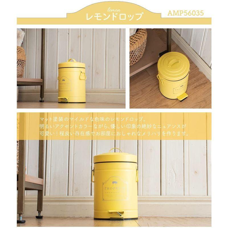 Ampoule アンプール ゴミ箱 ダストボックス おしゃれ 3リットル ダイニング 寝室 キッチン 玄関 トイレ 北欧 カフ 直送商品 Ampoule アンプール ゴミ箱 ダストボックス おしゃれ 3リットル ダイニング 寝室 キッチン 玄関 トイレ 北欧 カフ 直送商品
