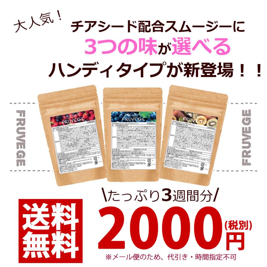 お試し 送料無料 スムージー 3袋セット(42g×3袋 約21杯分) 福袋