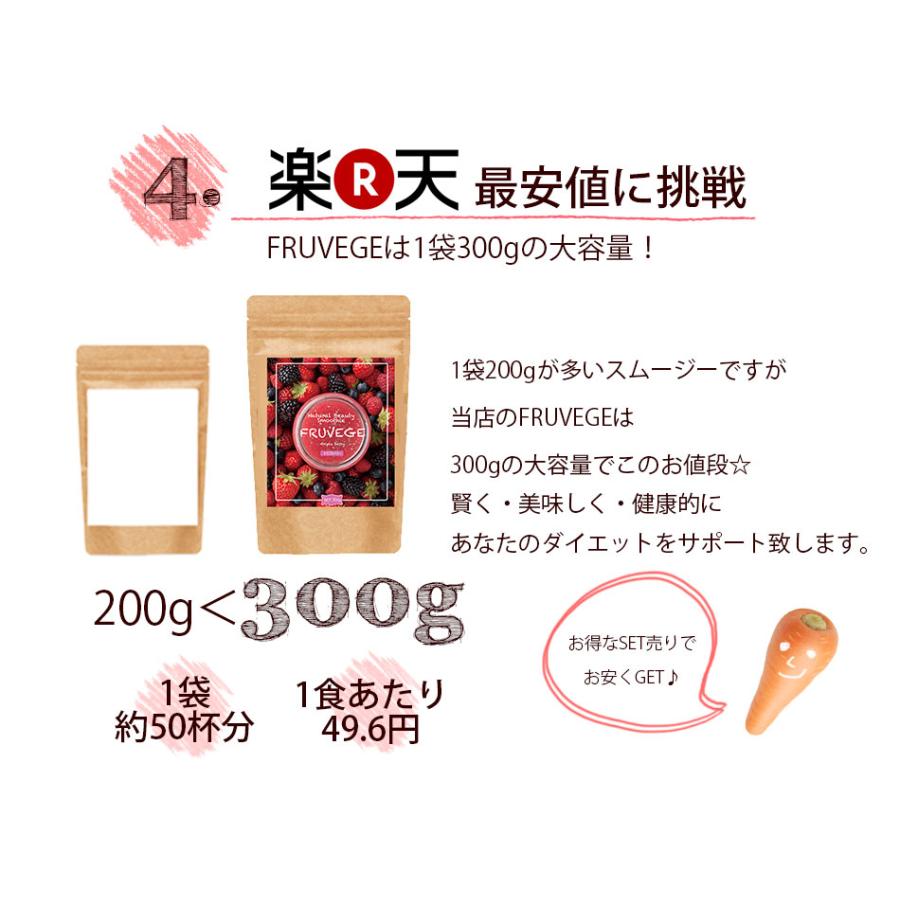 お試し 送料無料 スムージー 3袋セット(42g×3袋 約21杯分) 福袋