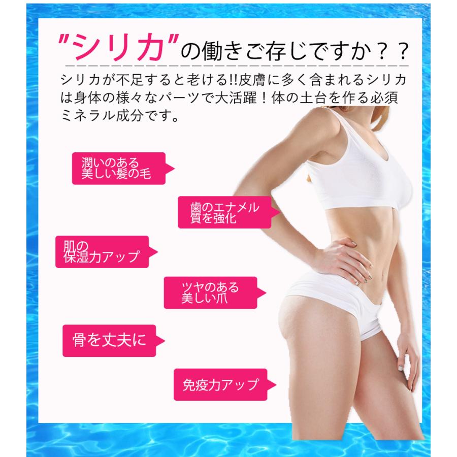 FIJI Water フィジー ウォーター 330ml 48本 2ケース 正規品販売店　フィジーウォーター ミネラルウォーター 天然水 シリカ水 シリカ