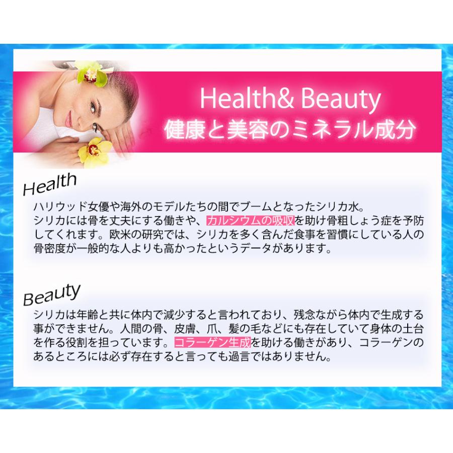 FIJI Water フィジー ウォーター 330ml 48本 2ケース 正規品販売店　フィジーウォーター ミネラルウォーター 天然水 シリカ水 シリカ