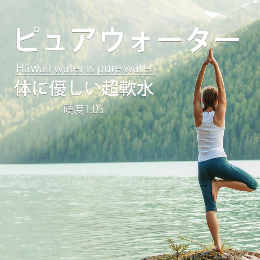 逸品 ハワイウォーター 240ml 12本 Hawaii Water 送料無料 ウルトラピュアウォーター ペットボトル 軟水 美味しい水 Cisama Sc Gov Br