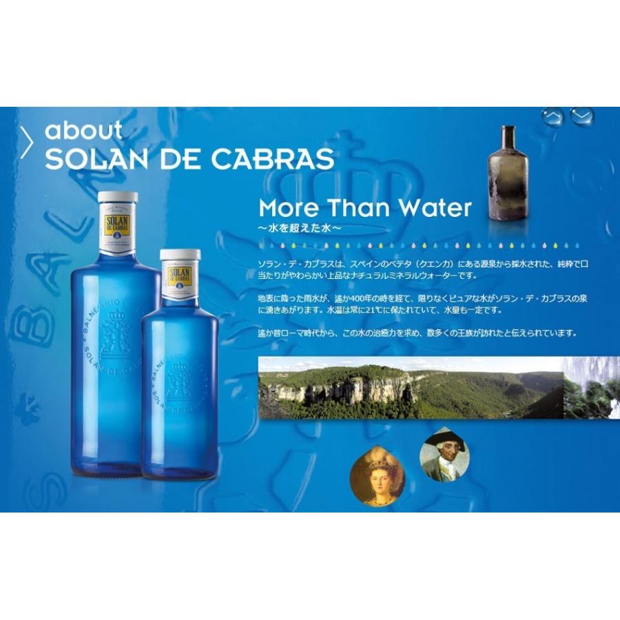 ソラン・デ・カブラス 330ml PET 36本 1ケース ピンクボトル SOLAN DE CABRAS スペイン ミネラルウォーター 海外 スペイン  みず お水 : Beautydelight - 通販 - Yahoo!ショッピング