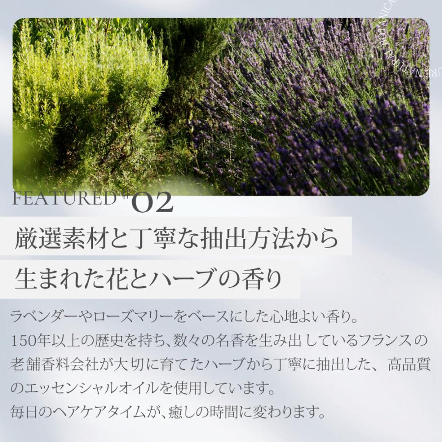 頭皮クレンジング スカルプ 地肌 リフレッシュ サロンメーカー開発 ピュアナチュラルボタニカル ディープスカルプクレンズ ヘアケア 植物 自然由来 |  | 05