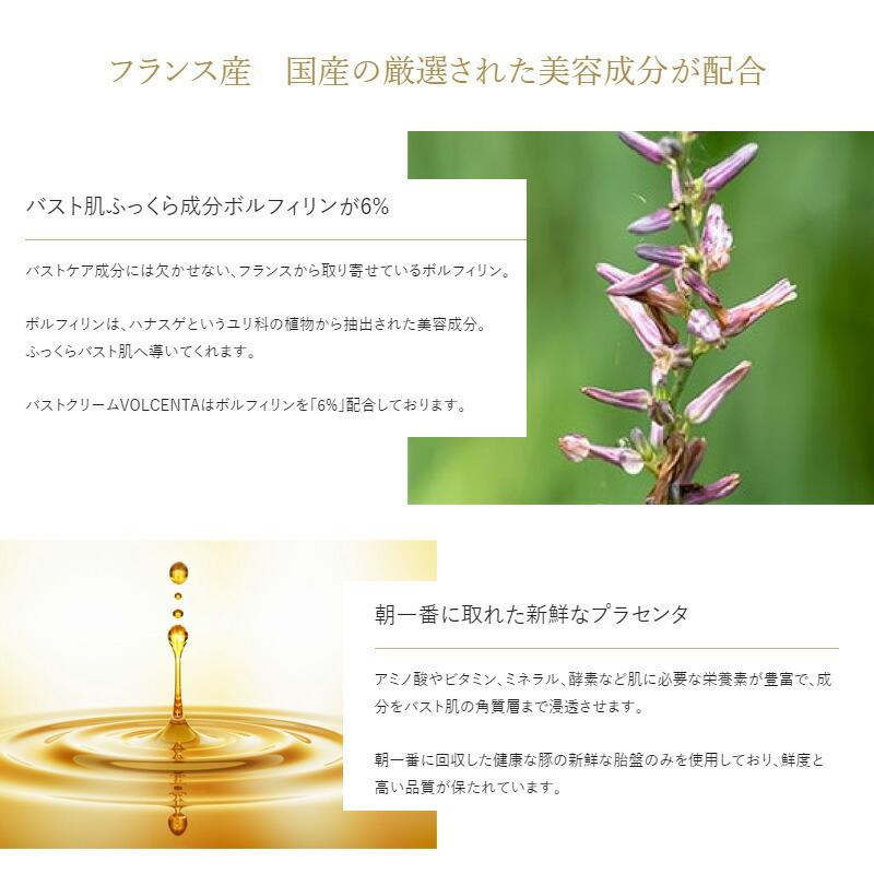 ボルセンタ VOLCENTA バストクリーム 100g 美容クリーム ボルセンタ VOLCENTA バストクリーム 100g 美容クリーム