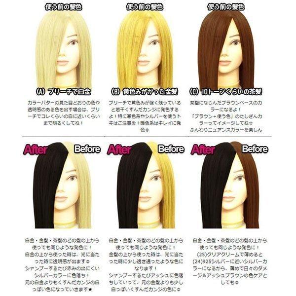 エンシェールズ カラーバター 200g ダークシルバー あすつく｜beautyhair｜02