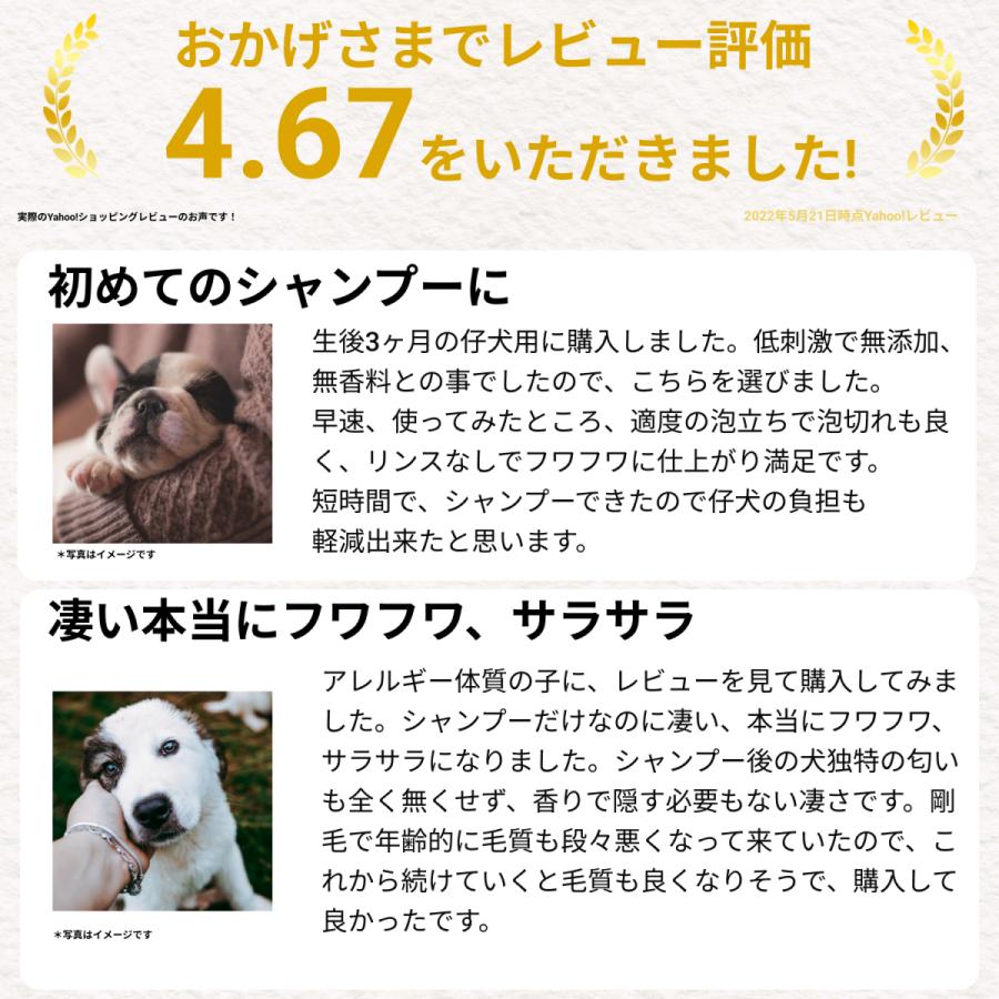 再再販! 5%OFF 送料無料 猫 犬 シャンプー 獣医推奨 低刺激 マルットペット 400mL 無添加 無香料 天然由来成分100% 香料0.00% 犬猫兼用 whitesforracialequity.org 再再販! 5%OFF 送料無料 猫 犬 シャンプー 獣医推奨 低刺激 マルットペット 400mL 無添加 無香料 天然由来成分100% 香料0.00% 犬猫兼用 whitesforracialequity.org