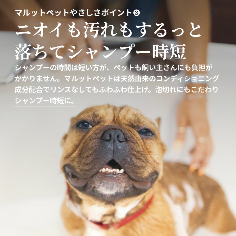 在庫あり】 マルットペット 犬 猫 シャンプー 低刺激 かゆみ フケ 肌荒れ の悩みに 無添加 香料0.00% 無香料 アミノ酸 皮膚の弱い ペットを gulf-loans.com 在庫あり】 マルットペット 犬 猫 シャンプー 低刺激 かゆみ フケ 肌荒れ の悩みに 無添加 香料0.00% 無香料 アミノ酸 皮膚の弱い ペットを gulf-loans.com