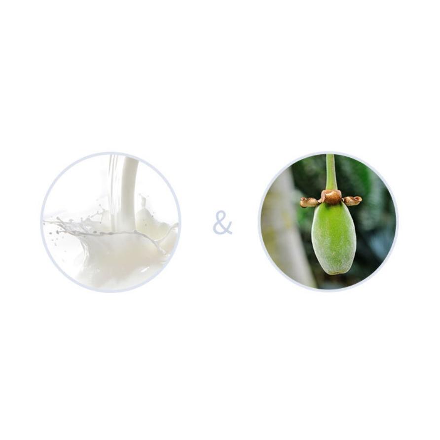 正規代理店 Milk Baobabミルクバオバブパフュームシャンプー500ml Aynaelda Com