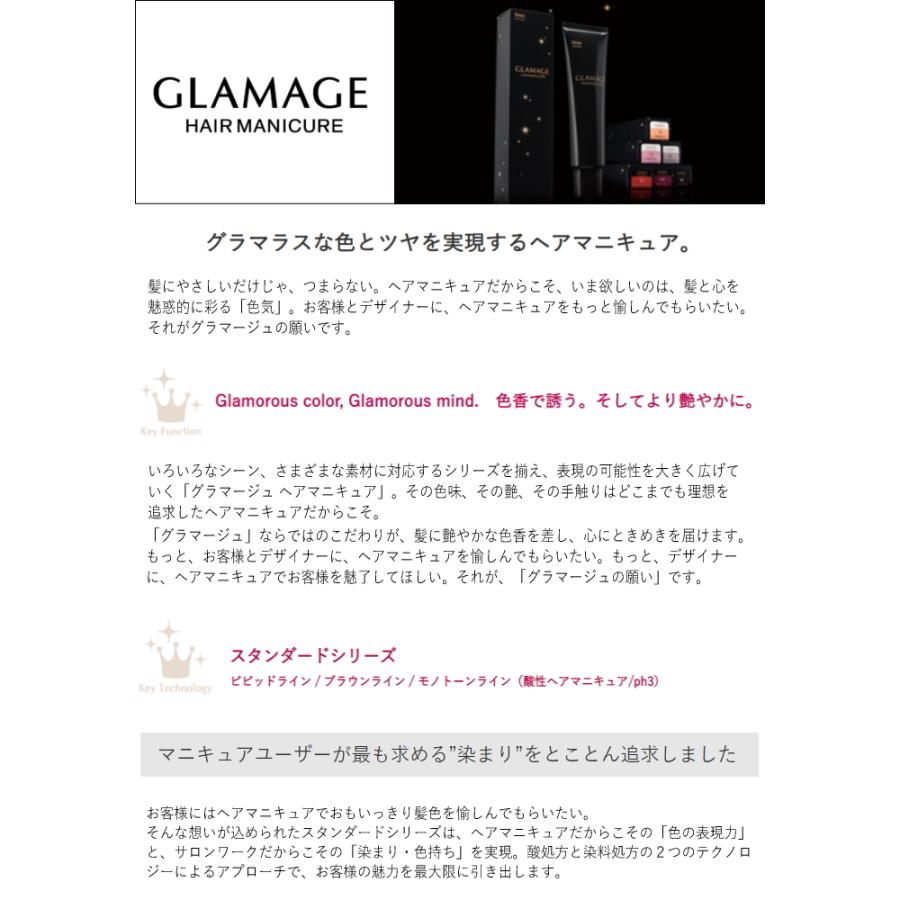 ホーユー グラマージュ 94 ダークブラウン 150g｜beautypromagica｜02