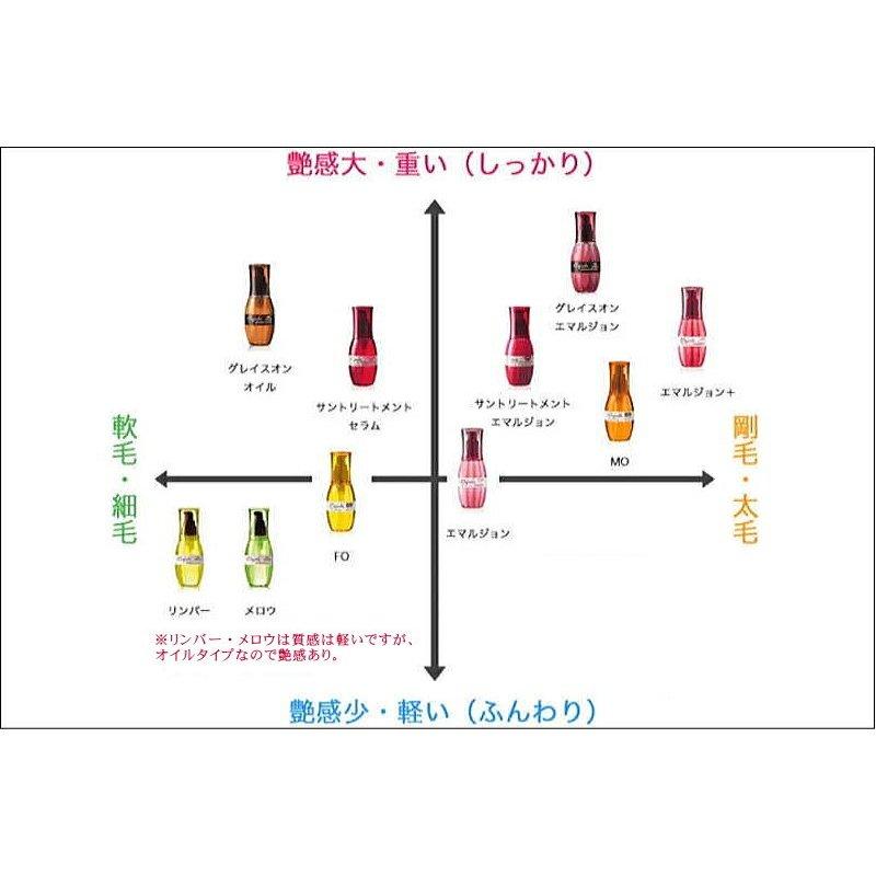 2個セット ミルボン ディーセス エルジューダ FO 120ml｜beautypromagica｜04