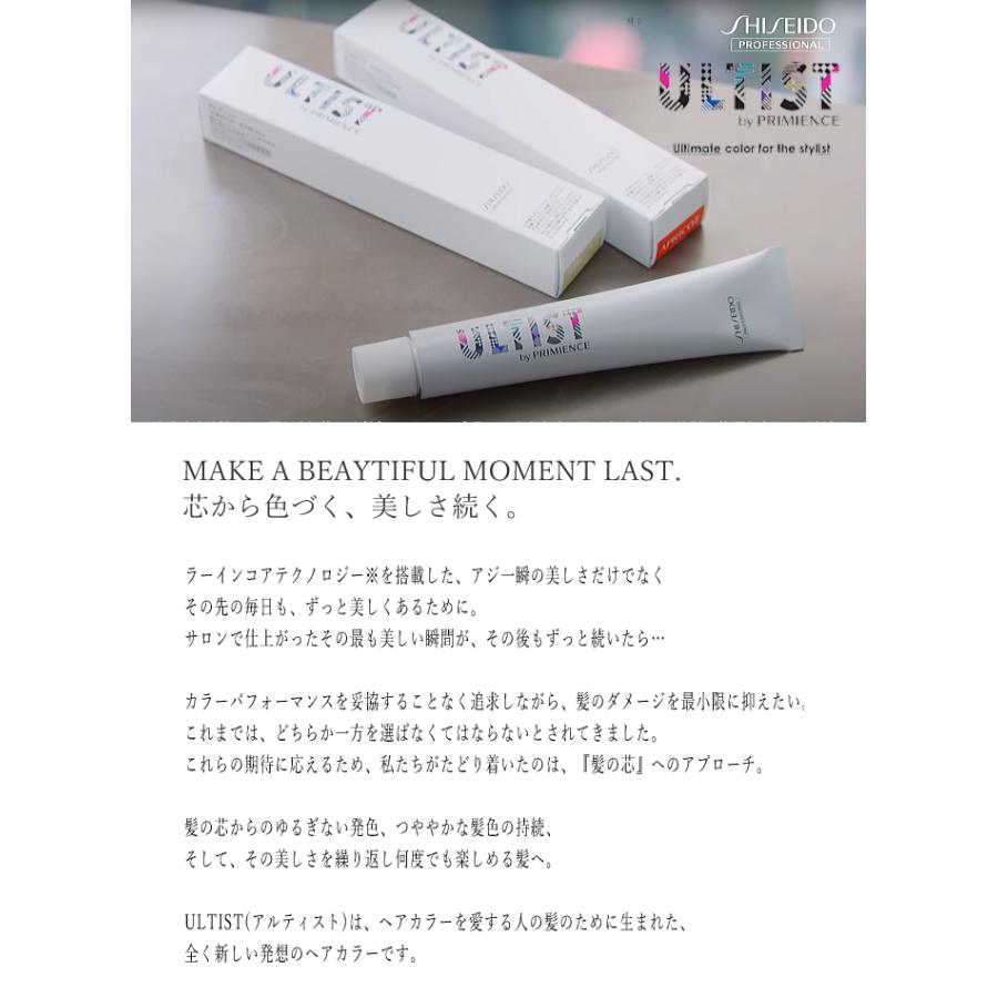 SHISEIDO PROFESSIONAL 資生堂 アルティスト ライトナー LT/13 SHISEIDO PROFESSIONAL 資生堂 アルティスト ライトナー LT/13