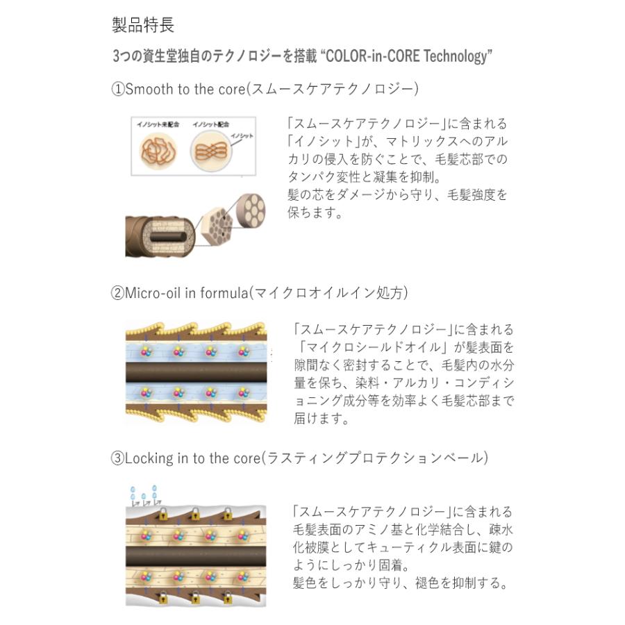 SHISEIDO PROFESSIONAL 資生堂 アルティスト ライトナー LT/13 SHISEIDO PROFESSIONAL 資生堂 アルティスト ライトナー LT/13