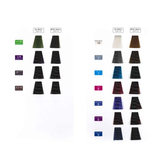 FIOLE（フィヨーレ） BLカラー アッシュ 120G : BeautyPro Magica