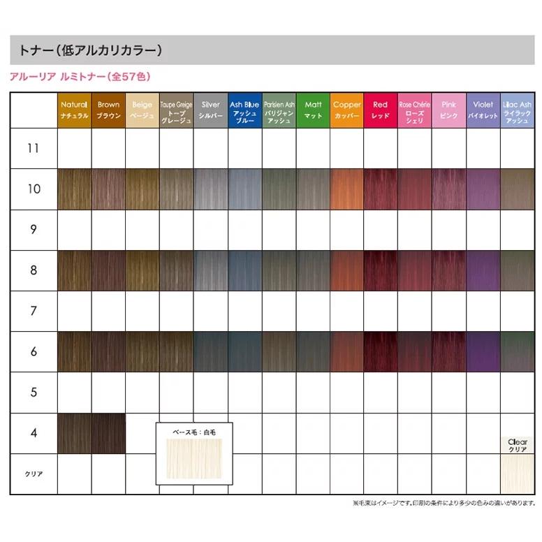 速達メール便送料無料 ロレアル アルーリア ルミトナー カラー ライラックアッシュ6 90g 6点セット 医薬部外品 現金特価 Carlavista Com