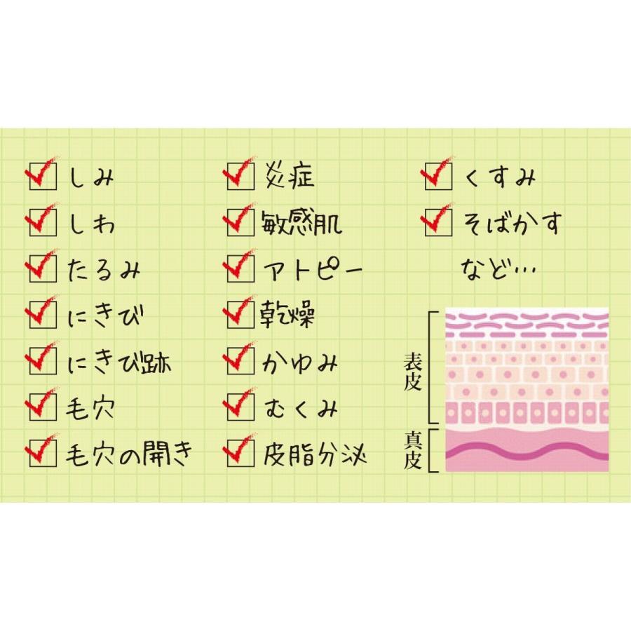 アマロス ハーブピーリングセット : ビューティーサロン プロ アマロス ハーブピーリングセット : ビューティーサロン プロ