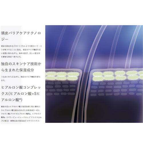 資生堂 ザ ヘアケア フェンテフォルテ シャンプー 1800mL ×2個 +