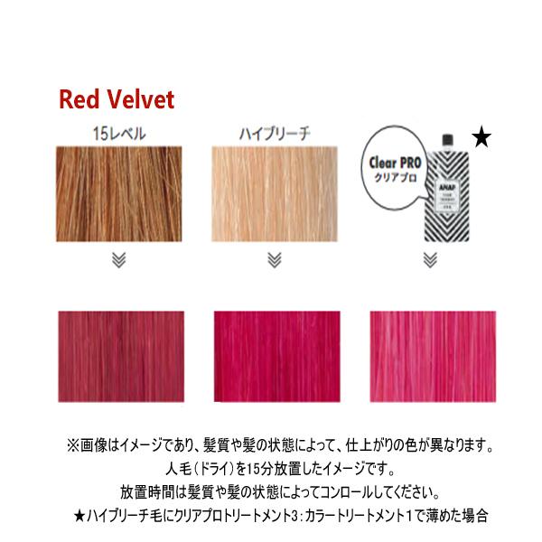 ANAP カラートリートメント 150g レッドベルベット : Beauty Blanc