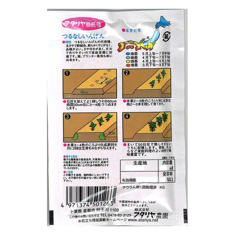 つるなしインゲン豆 ビーバートザンeショップ 通販 Paypayモール