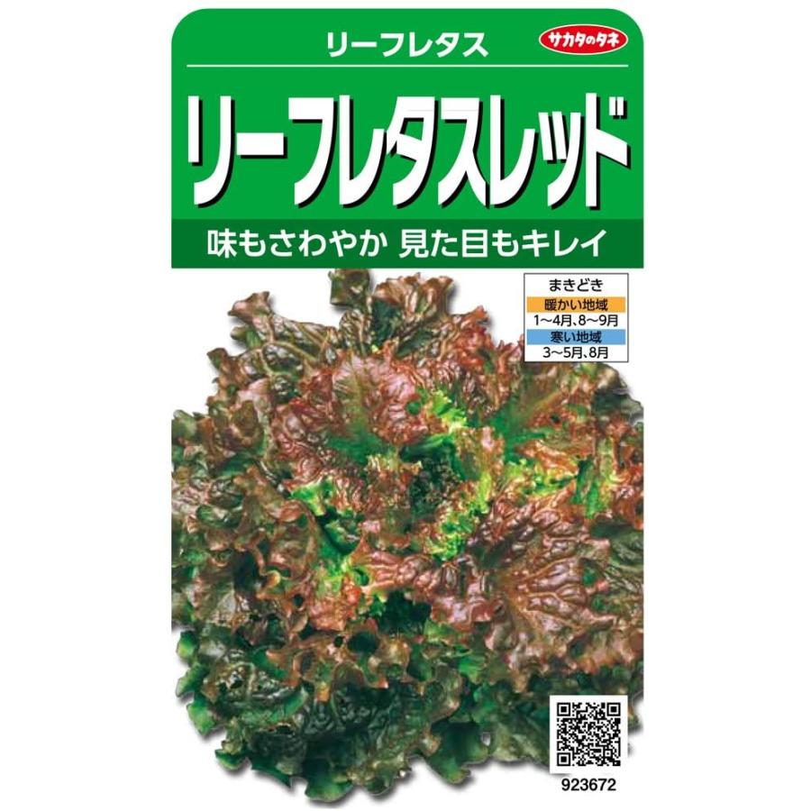 サカタのタネ 実咲野菜3672 リーフレタスレッド リーフレタス ビーバートザンeショップ 通販 Paypayモール
