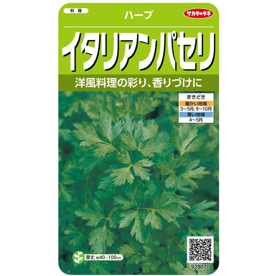 オーバーのアイテム取扱☆ ハーブ タネ パープルバジル 1袋 1ml 種 野菜たね YTC73 wieden-braeu.at オーバーのアイテム取扱☆ ハーブ タネ パープルバジル 1袋 1ml 種 野菜たね YTC73 wieden-braeu.at