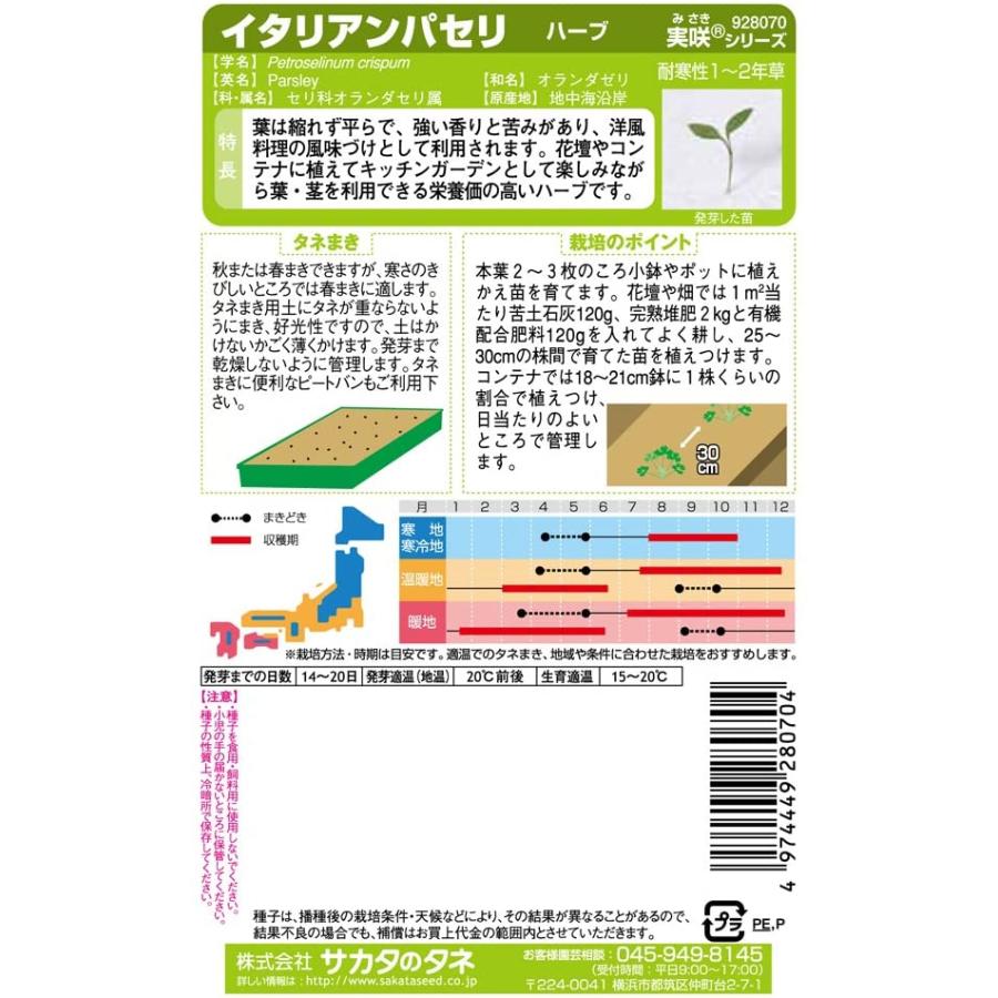 オーバーのアイテム取扱☆ ハーブ タネ パープルバジル 1袋 1ml 種 野菜たね YTC73 wieden-braeu.at オーバーのアイテム取扱☆ ハーブ タネ パープルバジル 1袋 1ml 種 野菜たね YTC73 wieden-braeu.at