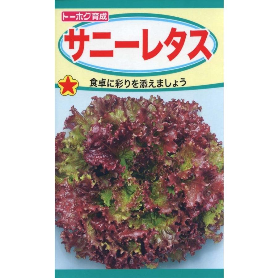 サニーレタス ビーバートザンeショップ 通販 Paypayモール