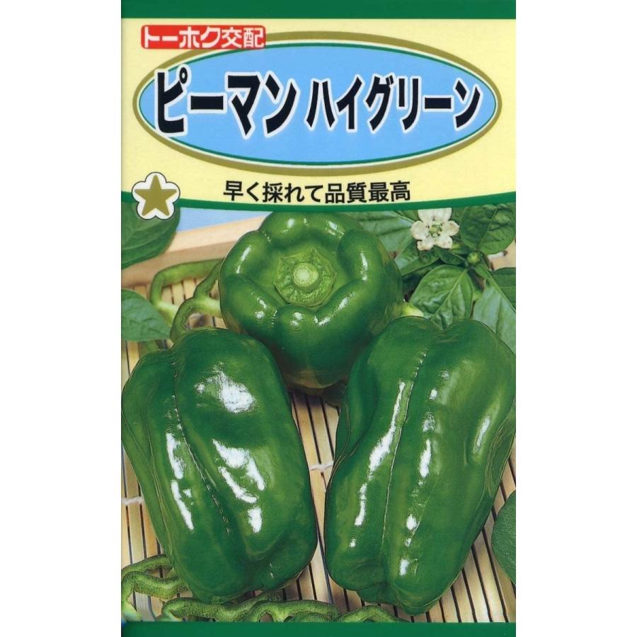 熱い販売 船 ぴーまんさん専用 知育玩具