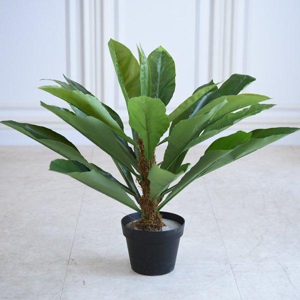 癒しの室内グリーン アンスリウム インテリア雑貨 フェイクグリーン 人工観葉植物 造木 造花 アガベ 緑 置物 オブジェ かわいい Btr Yts 3984 輸入家具べべ 通販 Yahoo ショッピング