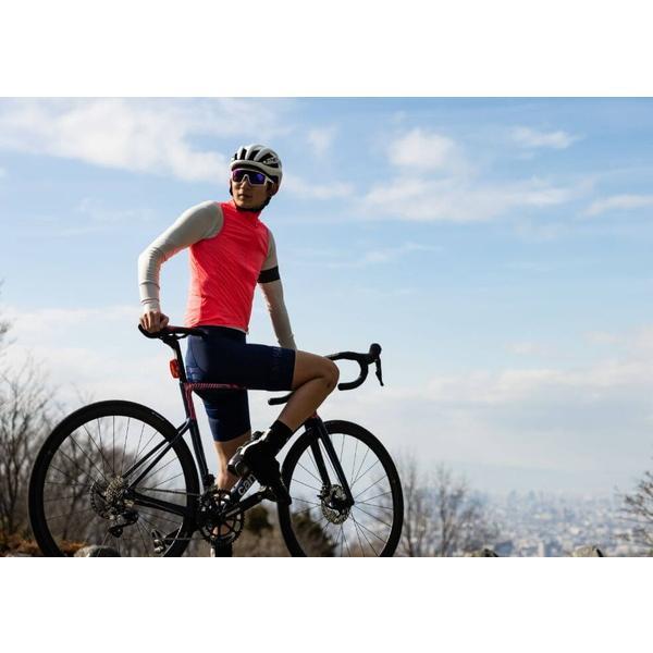 Panaracer 自転車 タイヤ パナレーサー アジリスト チューブラー Panaracer 自転車 タイヤ パナレーサー アジリスト チューブラー