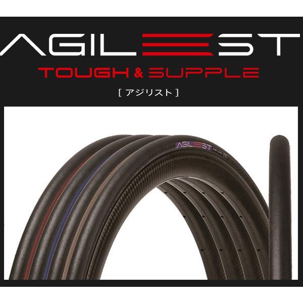 Panaracer 自転車 タイヤ パナレーサー アジリスト 2本セット