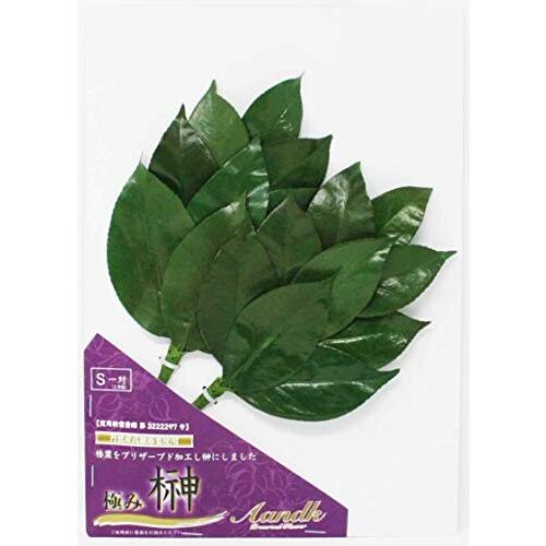 極み榊 S プリザーブド 榊 丹波産 高級椿葉使用 実用新案登録 第号 手作り ハンドメイド 枯れない Beckshop 通販 Yahoo ショッピング