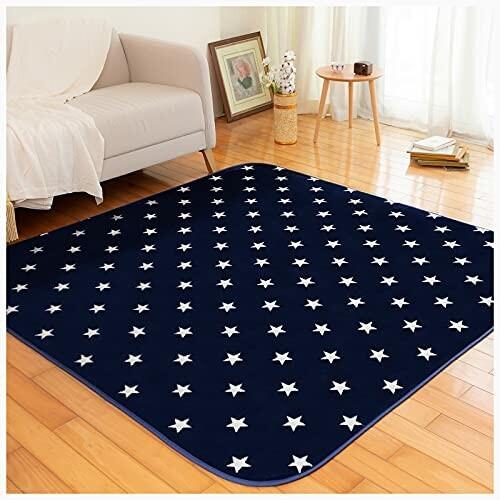 LIFERISE カーペット ラグ ラグマット 滑り止め付 ふわふわ 絨毯 抗菌? 防臭? 防ダニ 冷房暖房対応 洗える フラン