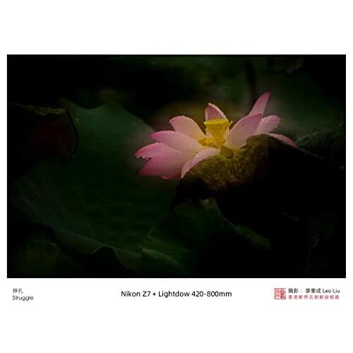 Lightdow 望遠レンズ420-800mm f/8.3 マニュアルズーム スーパー Lightdow 望遠レンズ420-800mm f/8.3 マニュアルズーム スーパー