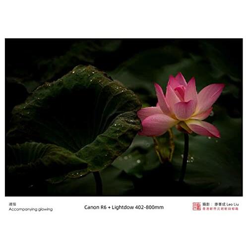 Lightdow 望遠ズームレンズ 420-800mm f/8.3-16 for キヤノンEF Lightdow 望遠ズームレンズ 420-800mm f/8.3-16 for キヤノンEF