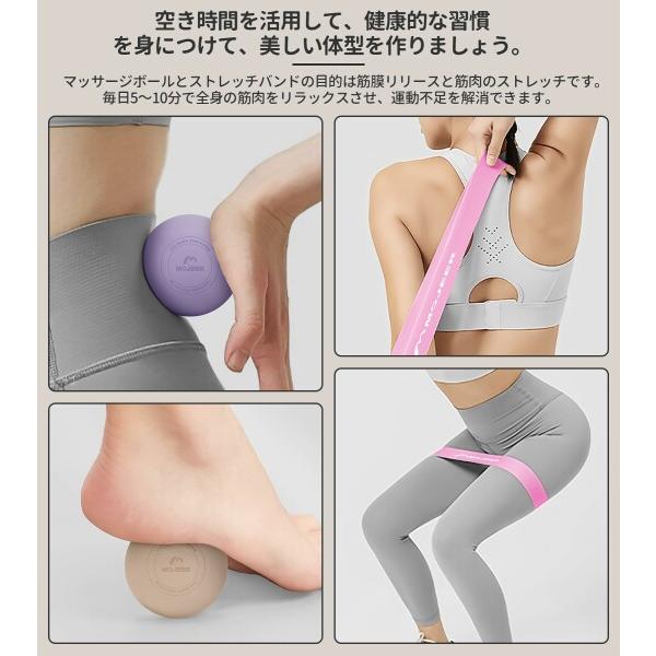 トリガーポイントと筋膜療法 DVD 整体 マッサージ DVD】実践に役立つ解剖学（トリガーポイント療法