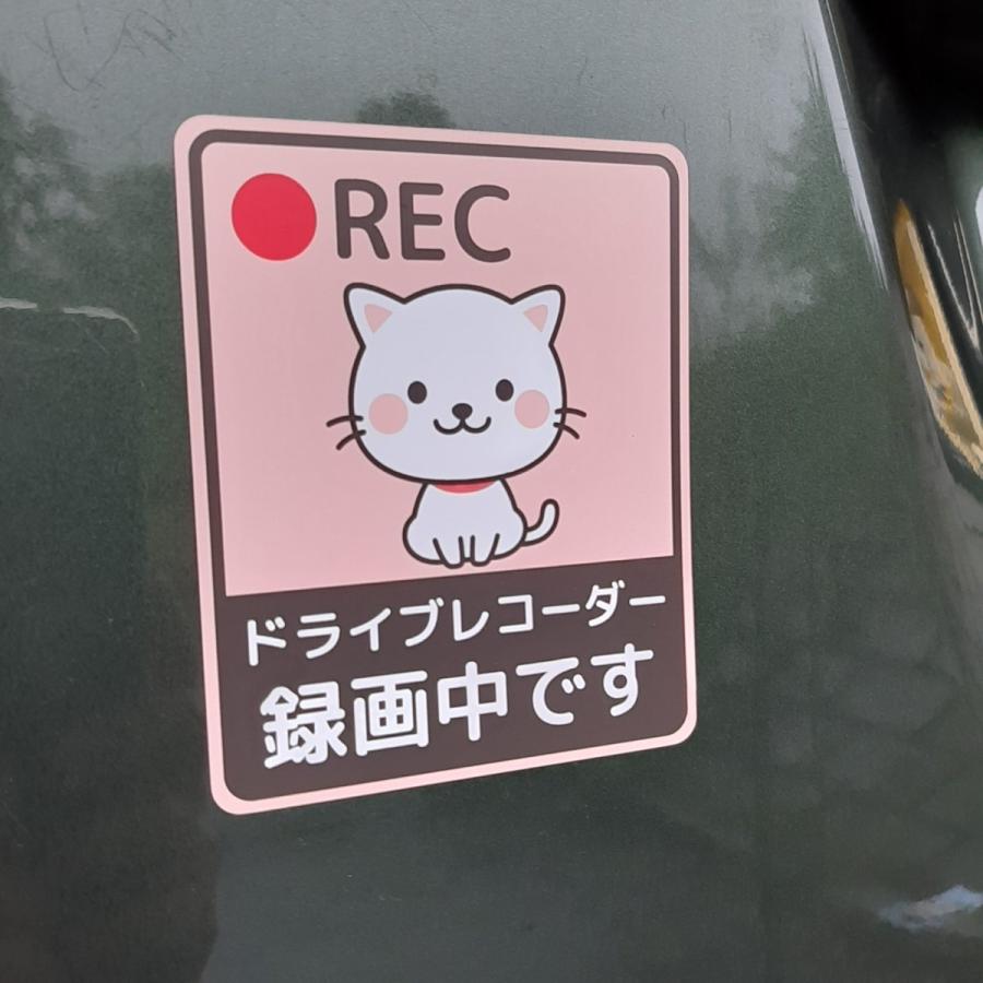 ドライブレコーダー ステッカー かわいい マグネット REC ドライブレコーダー録画中です （(1)猫1枚, 11×9cm）｜beckstore｜06