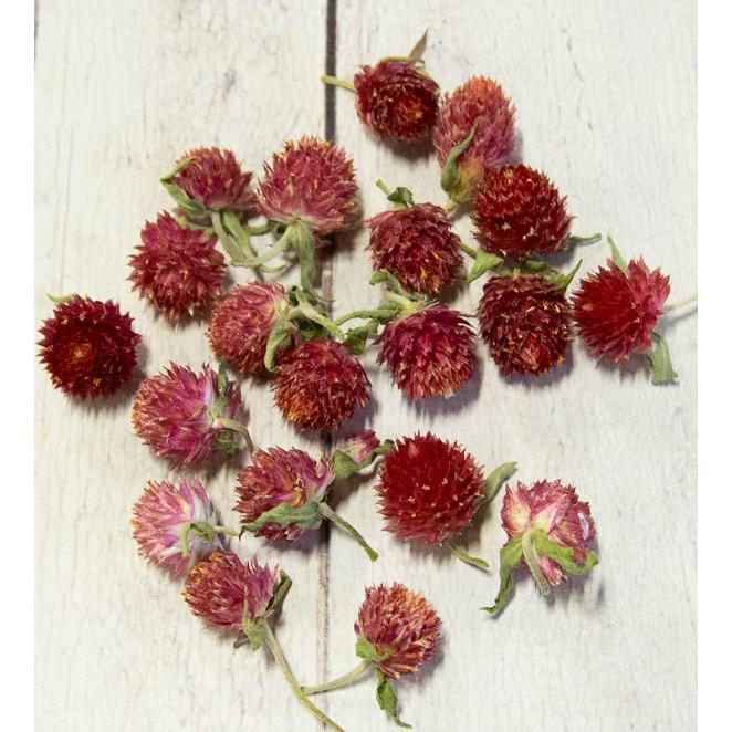 ドライフラワー 千日紅 Herb Sennitikou ベッキーキャンドル 通販 Yahoo ショッピング