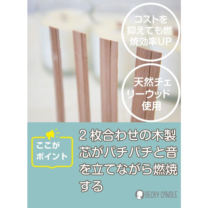 ウッドウィック イグニッションタイプ コストを抑え、燃焼効率を上げる