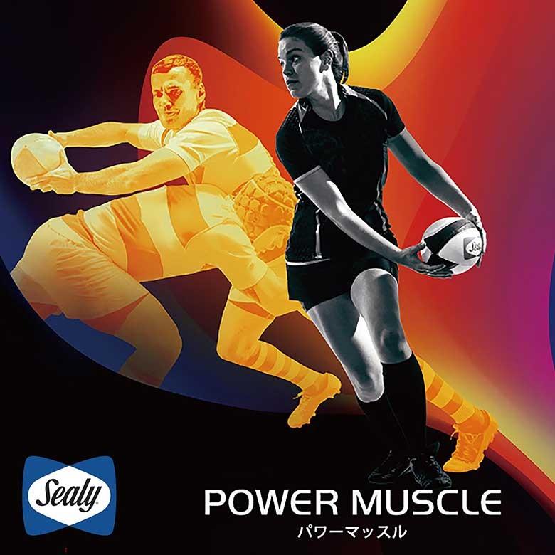 シーリー マットレス 正規販売店 ワイドダブル DW ダブルワイド スポーツモデル パワーマッスル Sealy | Sealy | 01