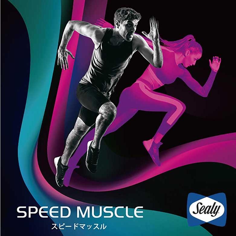 【正規品・美品】Sealy(シーリー) マットレス シングル パワーマッスル Amazon.co.jp: 【正規品】Sealy(シーリー) マットレス シングル