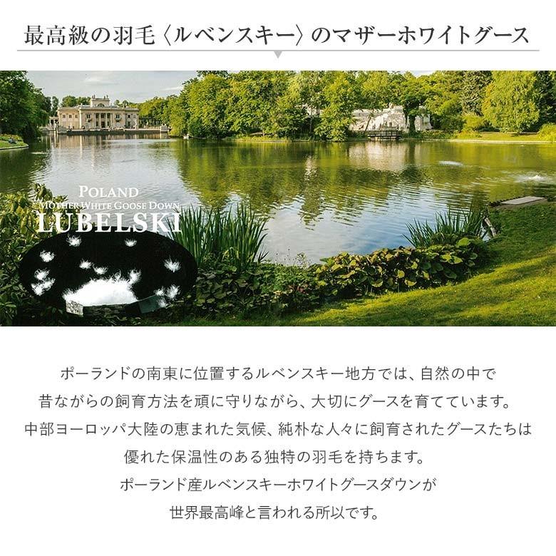 羽毛布団 シングル スイートコンフォート 20% 増量タイプ 日本製 ポーランド マザーグース93% オールシーズン サテン織 軽量 1.2kg 掛け布団 高級 高品質 |  | 09