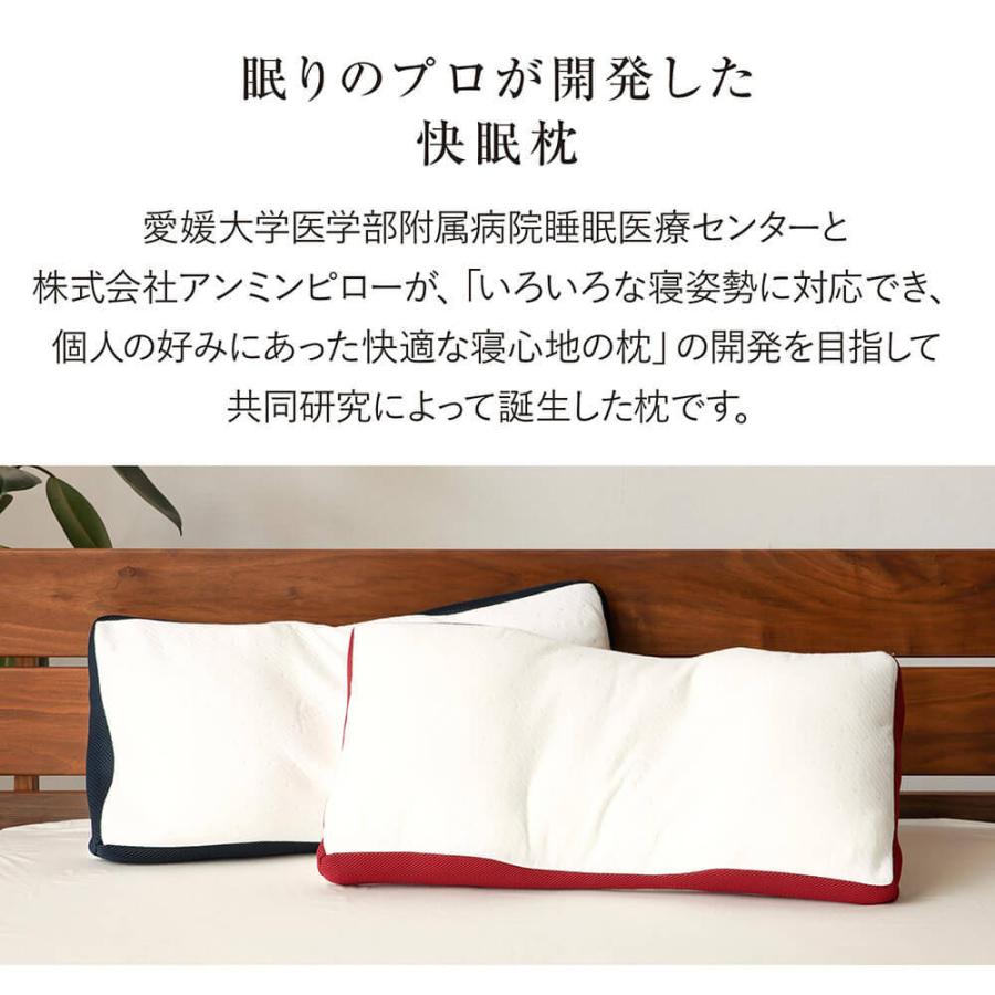 枕 洗える スリープメディカルピロー 35×70×7cm マイクロファイバー枕 パイプ枕 高さ調節 4分割構造 寝返り 肩こり 首こり 快眠枕 安眠枕 ギフト |  | 01