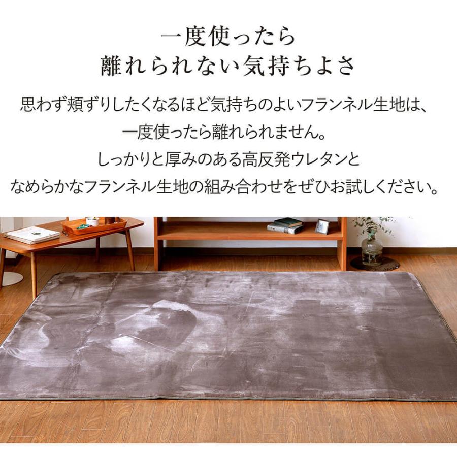 ラグ 高反発ラグ 高反発フランネルラグ 200×250 厚み2 長方形 約3畳 防ダニ 抗菌 防臭 床暖房 ホットカーペット対応 滑り止め ラグマット 絨毯 |  | 01