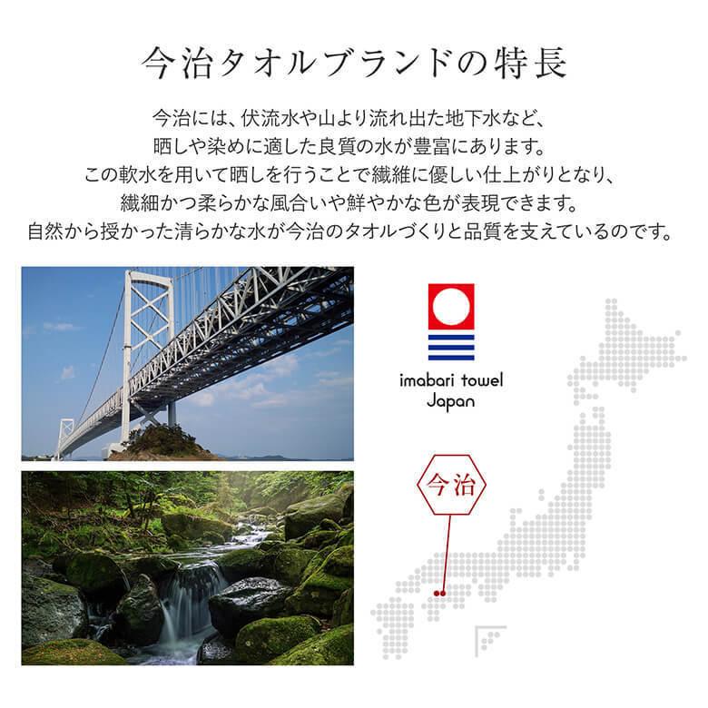 枕カバー M 43×63 枕用 綿100% 日本製 今治 イデアゾラ イデゾラ idee Zora もこもこ 封筒式 タオル パイル コットン 厚手 ピローケース 国産 ギフト | 今治タオル | 04